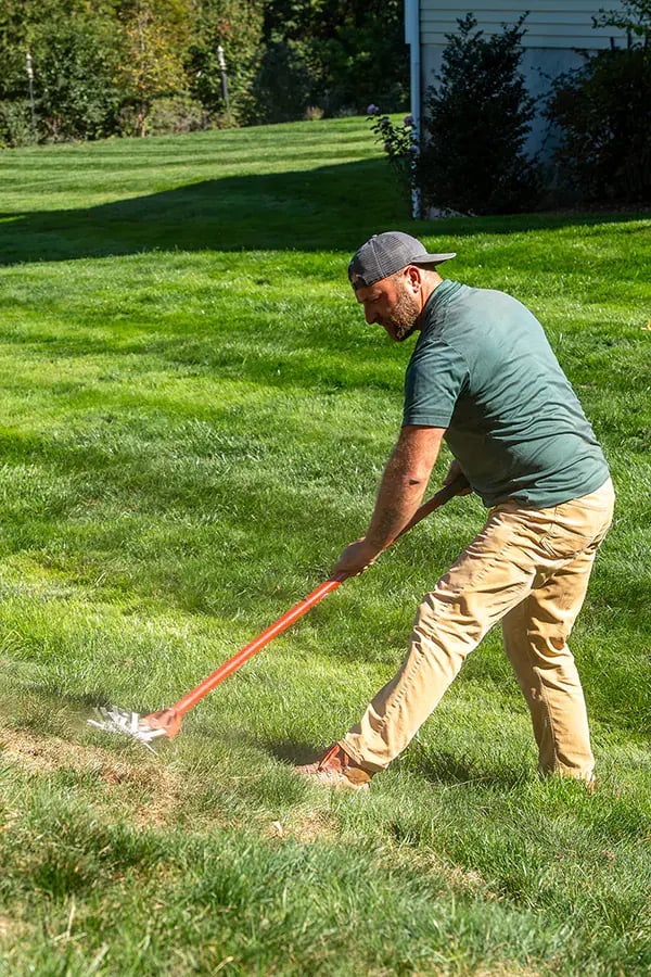 Using a garden weasel in turf