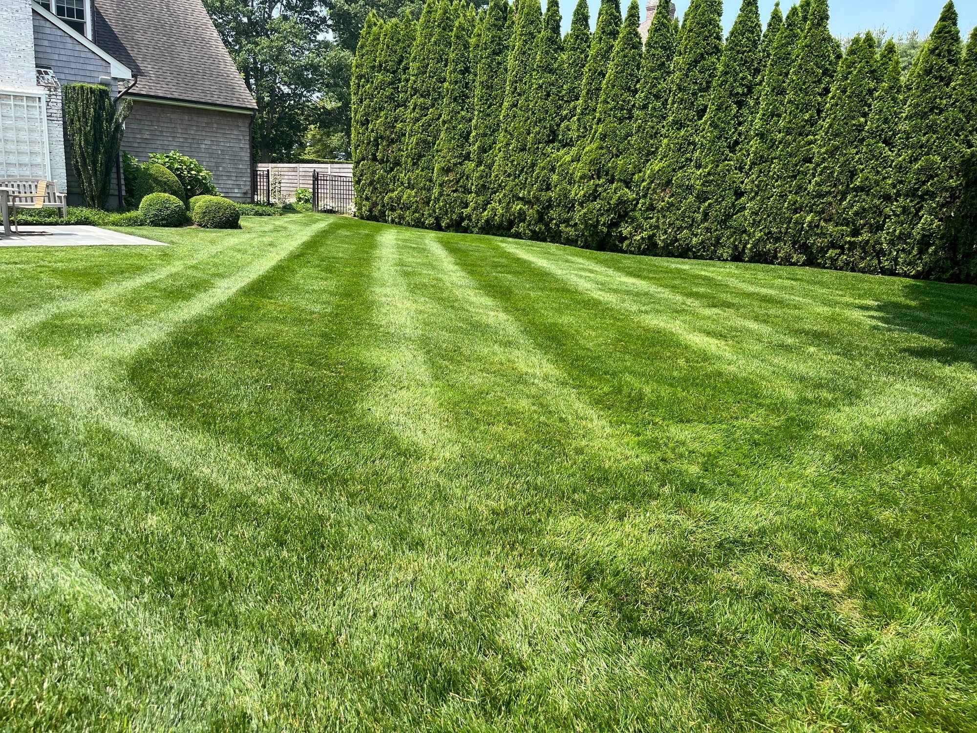 lawn 3 (1)
